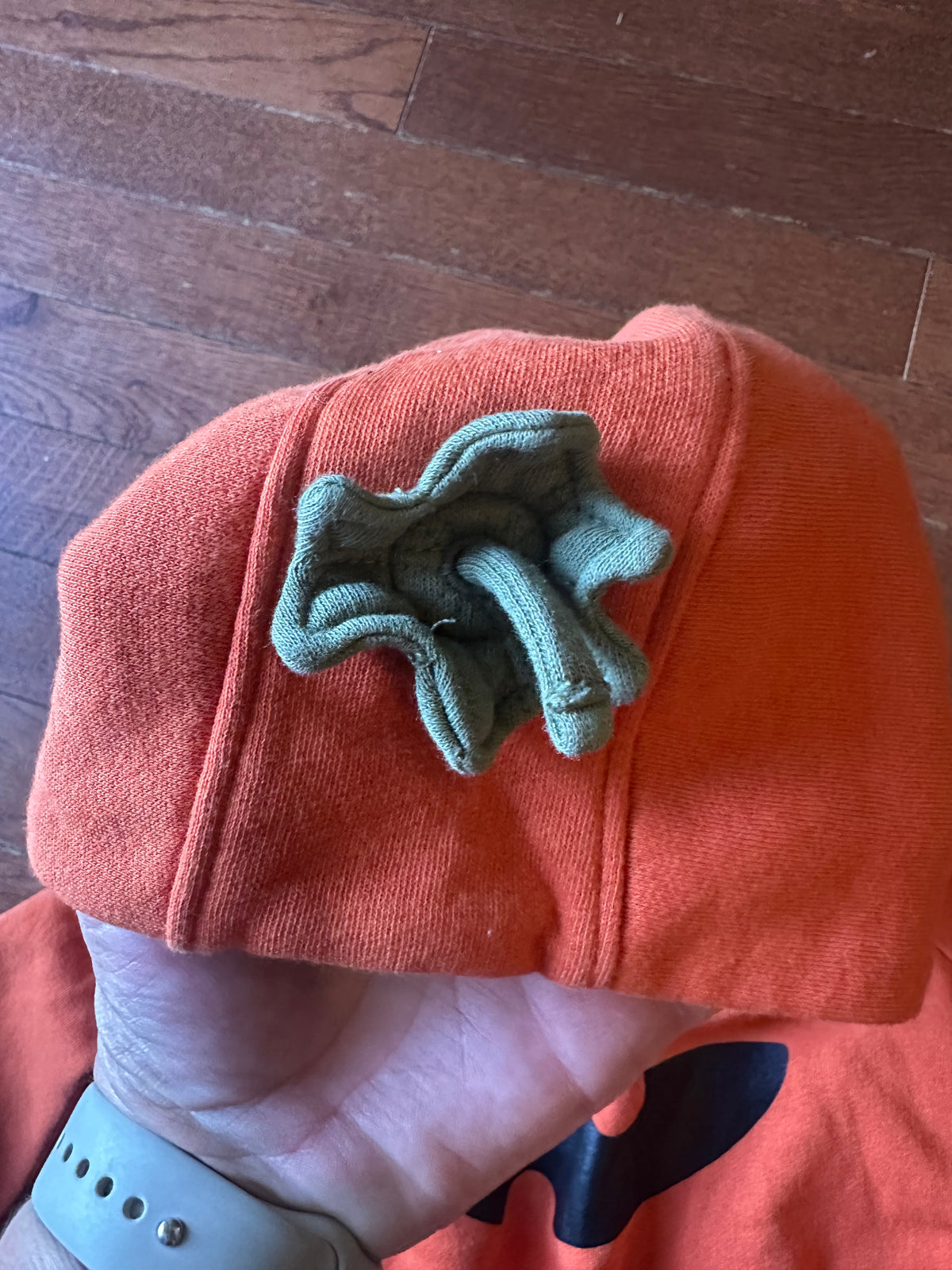 18M pumpkin outfit
